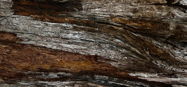 photograph of a wooden surface