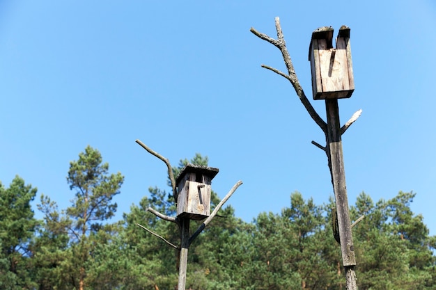 Photographed close-up of a birdhouse made of wood