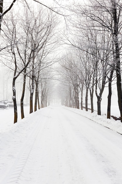 雪の上に残された写真のトレイル。