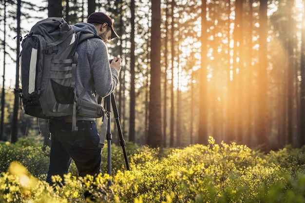 Photographer takes a picture in Silent Forest in spring with beautiful bright sun rays