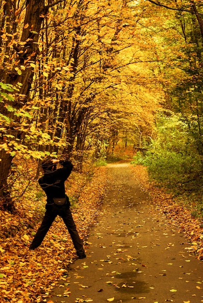 Photographer taking photo of autumn landscape