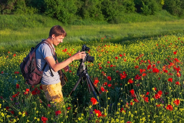 Photographer taking pictures of poppies in the field during sunset