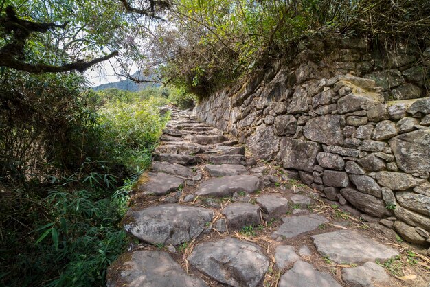 Photographs of the citadel of Machu Picchu in the Andes of Peru