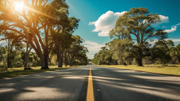 Photography of empty road during daytime