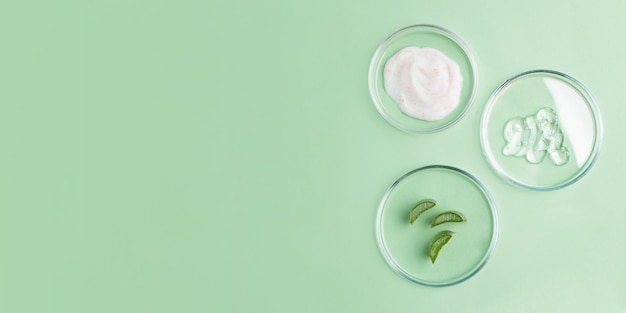 Photography from above of petri dishes with cosmetics gel in it and slices of aloe vera