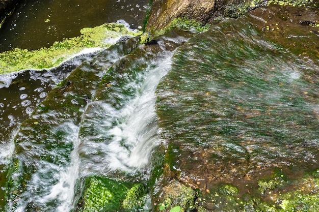 庭の滝からの美しい滝水をテーマにした写真撮影