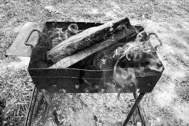 Photography to theme beautiful wood log from tree on brazier