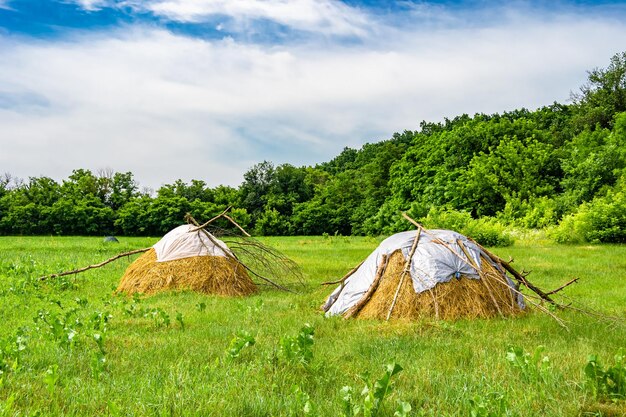 草の農場フィールドにある大きな乾いた干し草の山をテーマにした写真空の背景に刈られた草地に大きな乾いた干し草の山で構成される写真この自然の秋の草地にある乾いた干し草の山