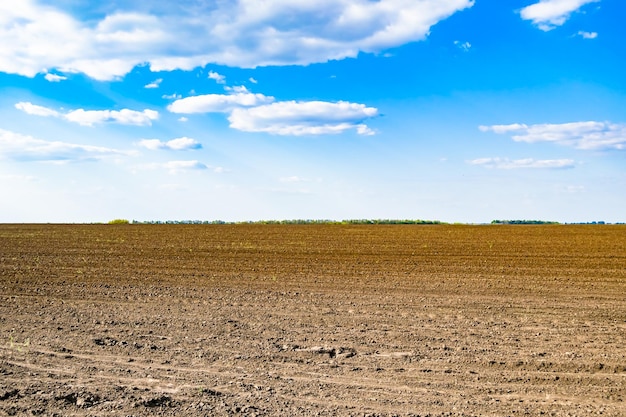 Photography on theme big empty farm field for organic harvest