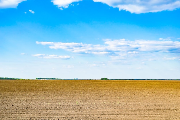 Photography on theme big empty farm field for organic harvest