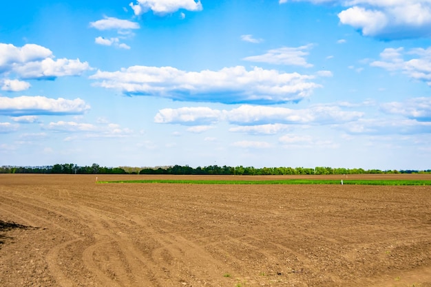 Photography on theme big empty farm field for organic harvest