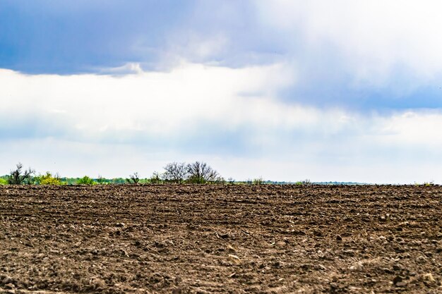 Photography on theme big empty farm field for organic harvest