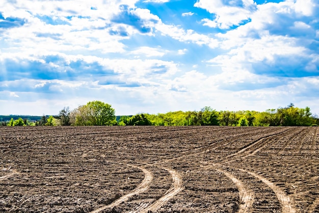 Photography on theme big empty farm field for organic harvest