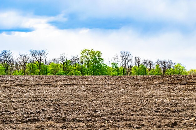 Photography on theme big empty farm field for organic harvest