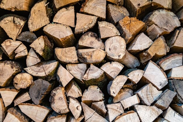 Photography on theme big wall of stacked oak tree logs in cracks photo consisting of old oak tree logs on nature background oak tree logs from textured round annual rings with stripes various size