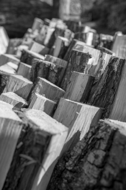 Photography on theme big wall of stacked oak tree