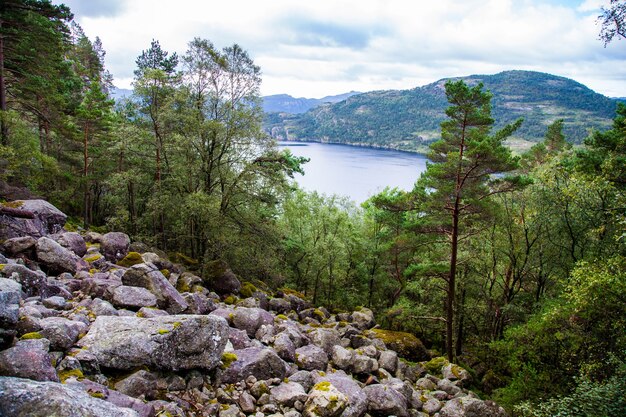 Фото Фотосъемка с пейзажами и природой в норвегии