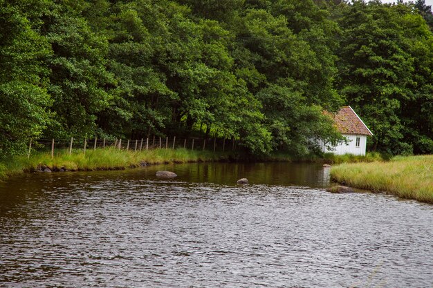 写真 ノルウェーの風景と自然の写真