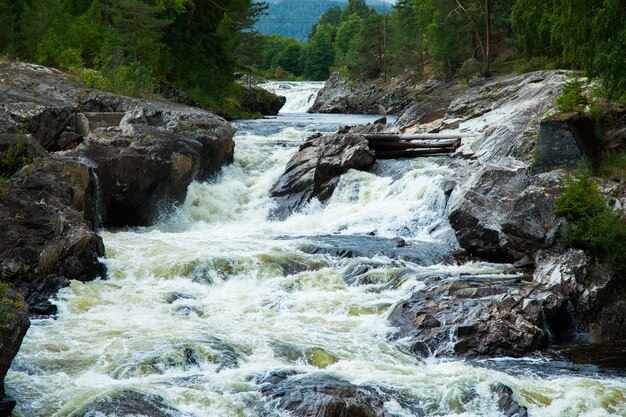 ノルウェーの風景と自然の写真