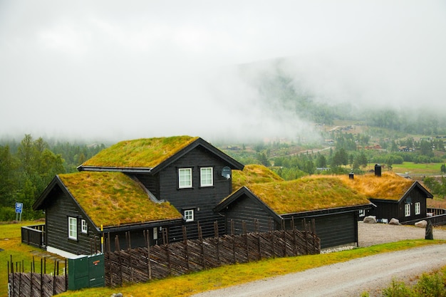 фотосъемка с пейзажами и природой в норвегии