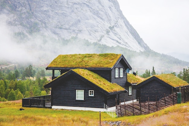 ノルウェーの風景と自然の写真