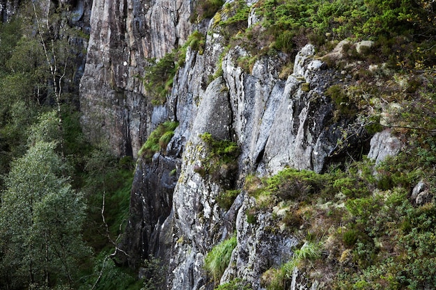 ノルウェーの風景と自然の写真