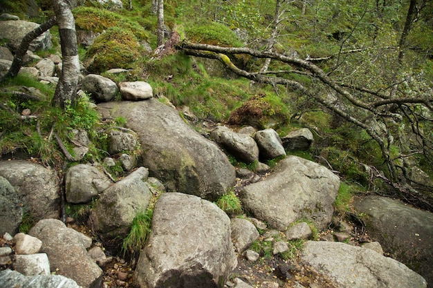 ノルウェーの風景と自然の写真