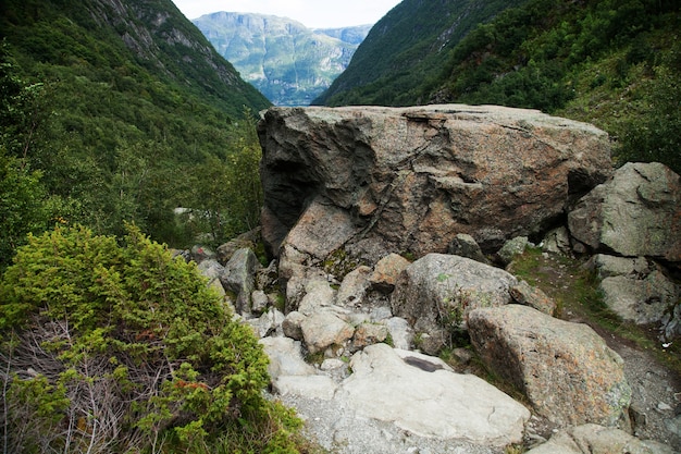 ノルウェーの風景と自然の写真