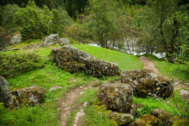 Fotografia con paesaggi e natura in norvegia