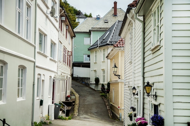 ノルウェーの風景と自然の写真