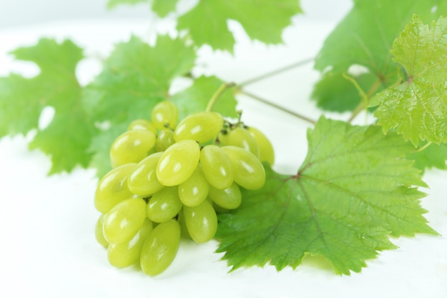 Photos of green tropical fruit grapes.