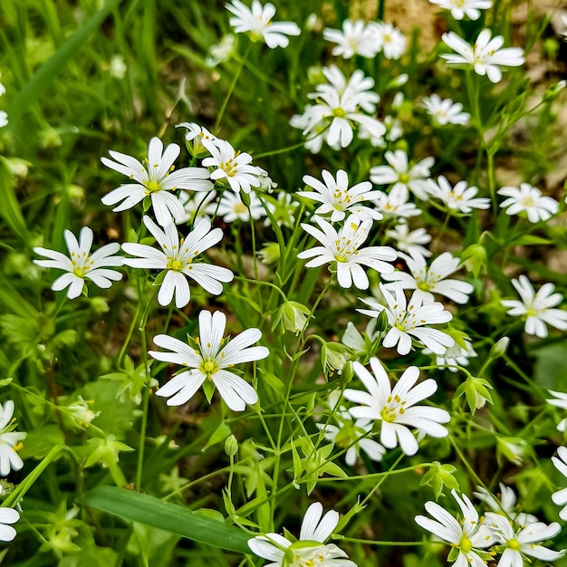 Photos of nature in the surroundings of Hamburg