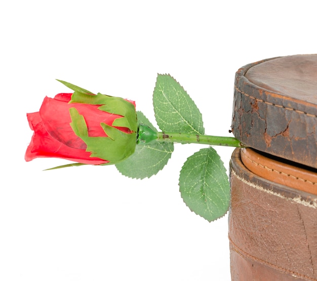 Photos of red roses for Valentine's Day, isolated on white