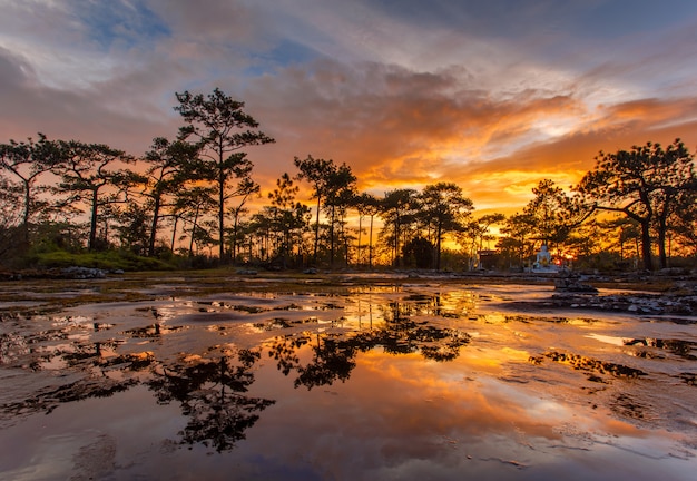 Phu Kradueng National Park at Sunset in Loei Province of thailand