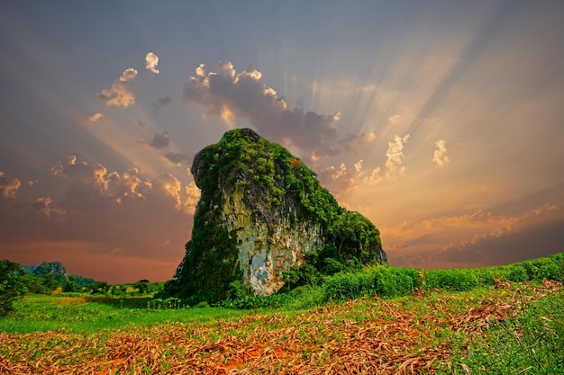 Foto parco nazionale della montagna di phu langka provincia di payao thailand