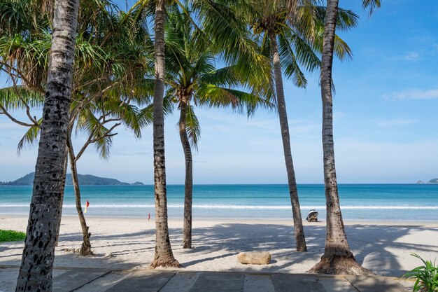 푸켓 파통 비치 파통 비치 주변에 야자수가 있는 여름 해변 푸켓 섬 태국, 여름 시즌에 푸른 하늘을 배경으로 하는 아름다운 열대 해변 Copy space.