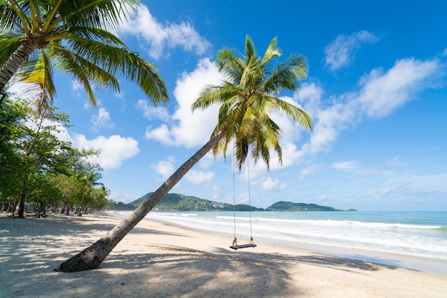 Phuket thailand beach landscape view of beach sea and sand in\
summer sun. coconut tree background