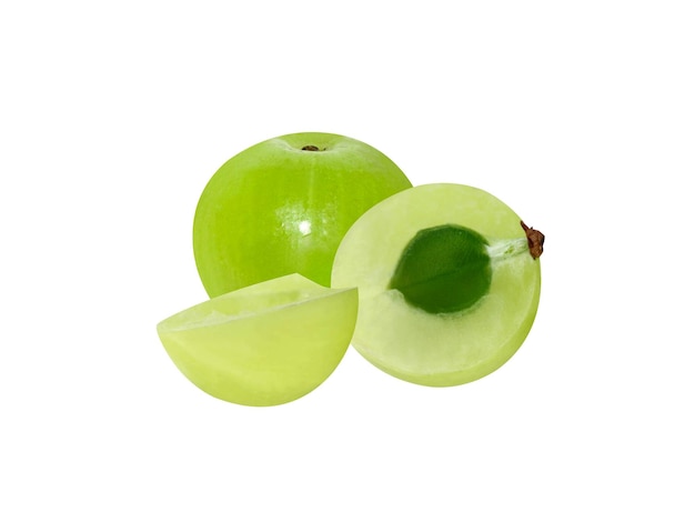 Phyllanthus emblica emblic or amla in Ayurveda fruit are used as a common constituent