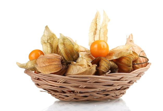 Physalis in basket isolated on white