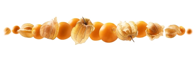 Physalis 열매는 흰색 배경에 공중에 뜨다