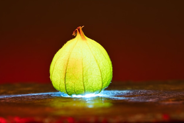 Physalis on black wet ground Lighted fruit Vitamin C rich fruit Structures detail