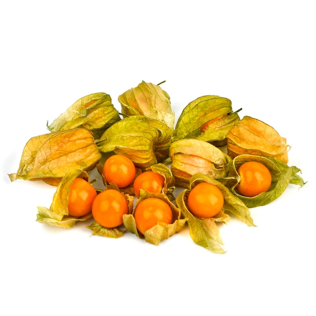 Physalis Eco