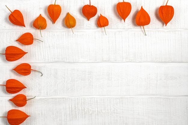 Physalis flowers on white rustic wooden table top view