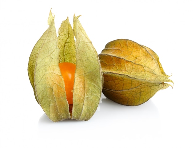 Frutta del physalis isolata su bianco