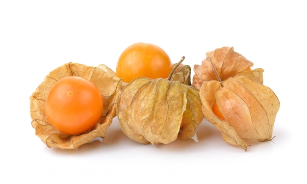 Physalis frutto su un muro bianco