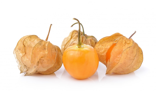 Physalis fruit on a white wall