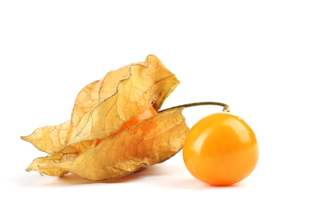 Physalis geïsoleerd op wit