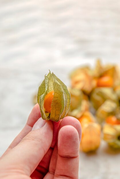 Physalis in hand. The hand takes the sweet yellow physalis berries, the ripe physalis fruits lie on the marble tabletop. Place for your text, for design or product label.