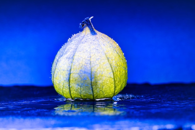 Physalis op zwarte natte grond met blauwe achtergrond Verlicht fruit Vitamine C