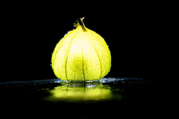 Physalis op zwarte natte grond met zwarte achtergrond Verlicht fruit Vitamine C